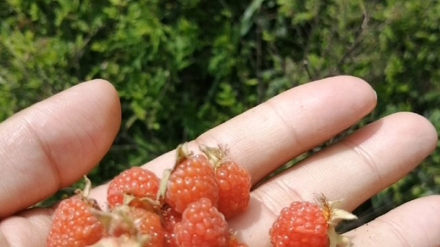 沟起你的回忆了吗？