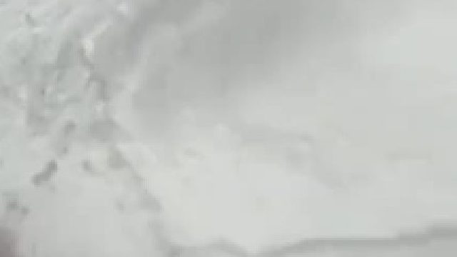 小熊猫：你人还怪好嘞