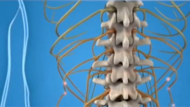 脊髓神经受损怎么办