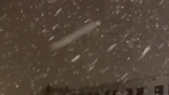 2023年要是能有你陪我看雪就好了