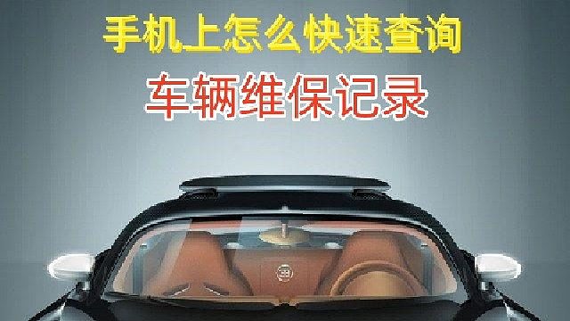 维保记录怎么查？手机上就能查看4S店的维修保养记录？以及查看是否火烧车、泡水车盗抢车等重大事故#