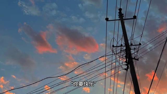 嘴笨所以孤零零（被抛弃的小狗）