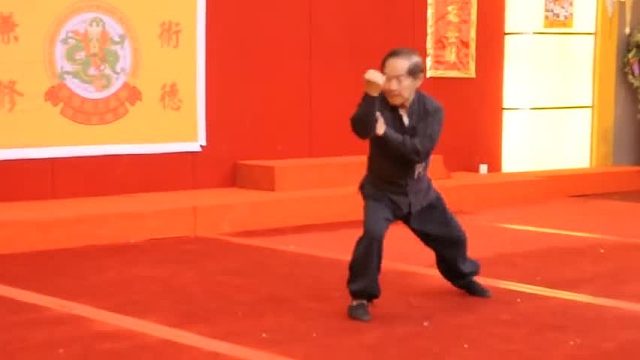 【香港】大圣劈挂门之陈秀中(1933年至2020年2月7日~师承_耿德海)：2009年12月07日