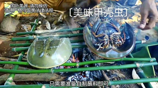 越南美食:越南老表请你吃甲壳虫！#越南美食#荒野生存#越南老表