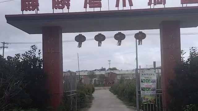 麒麟村离泰州城区十多公里，曾被示为“乡村振兴先进示范村”。据当地村民讲旅游区并没什么玩的；游乐园也沒