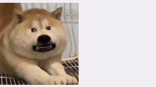 比起纯爱，我更喜欢碎石案