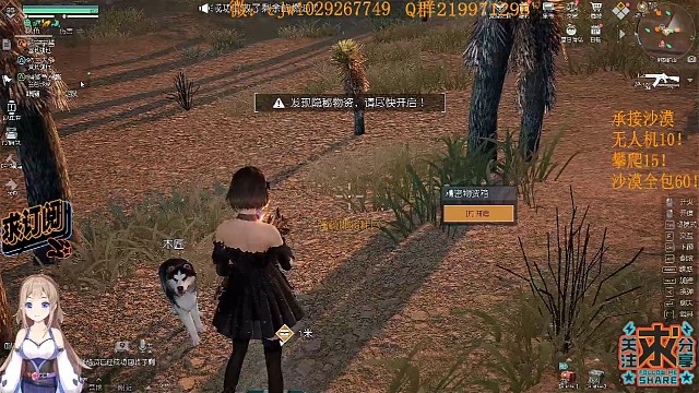 都是听说别人开出极品芯片元件！今天终于至今做了次狗托