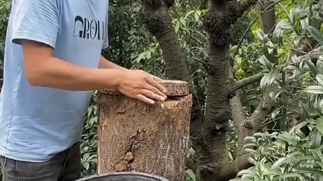 当代青年的日常，作死型失眠