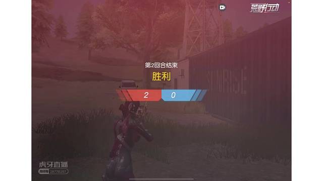 我想看风的颜色