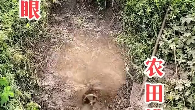 里面有石头咋办？