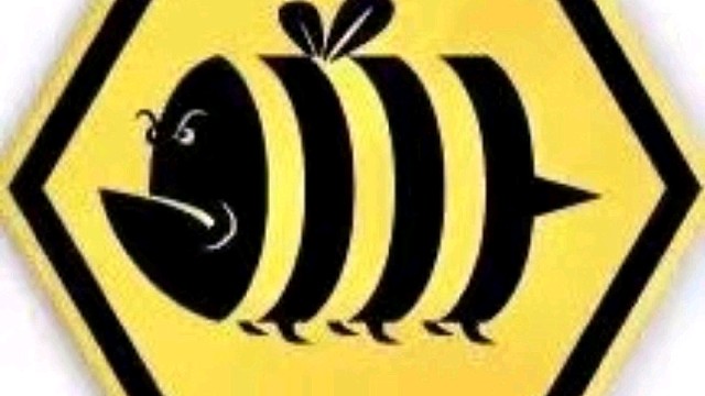 【蜜蜂三周年】纪念视频谨送给所有的小蜜蜂，感谢白泽陆遥两位领头羊一路栽培，祝福蜜蜂一路长虹，前程似锦