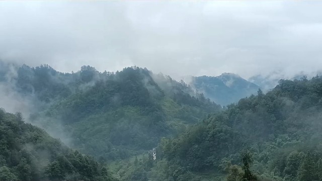 我发布了一个新视频，快来围观吧！