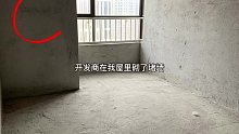 开发商在屋里盖了一堵墙，像一块大石头一样，越看越糟心，说是放空调外机的，占用室内空间，果断让我砸了
