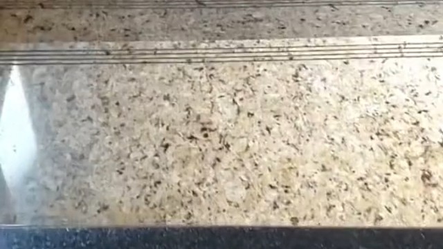 恐龙抗狼扛狼扛狼扛