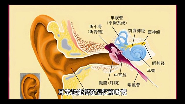 耳常鼓对人体的好处！#北京同世堂中医
