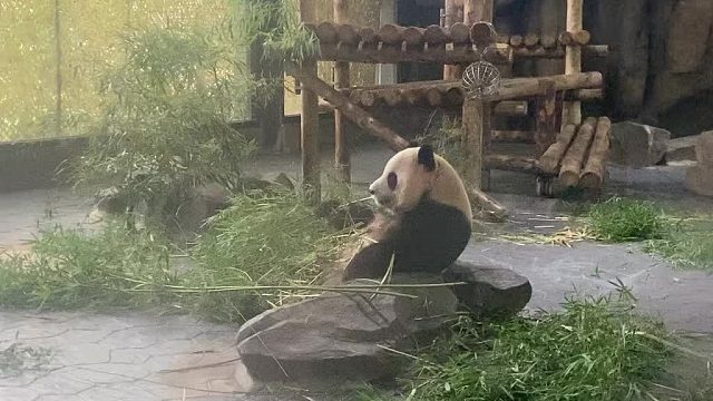 “老干部”的退休生活