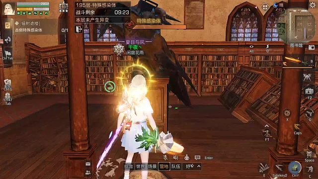 19庄步枪兵195双炮打法