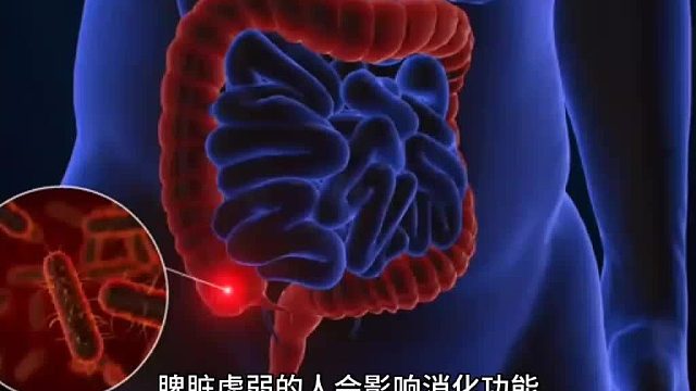 脾脏虚弱的人会影响消化功能