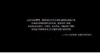 空洞騎士