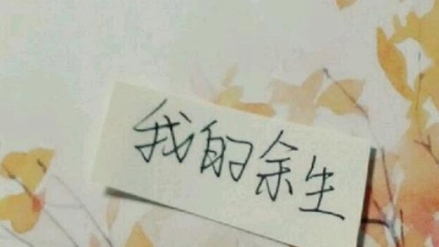 希望有我的陪伴能接住你所有的疲惫