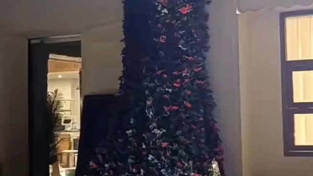 momo蛇夫情侣日常之momo的撒娇视频