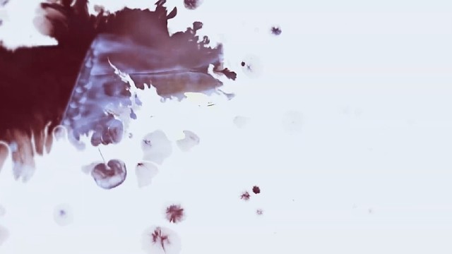 赏金令搞仁德值吗？(●'◡'●)