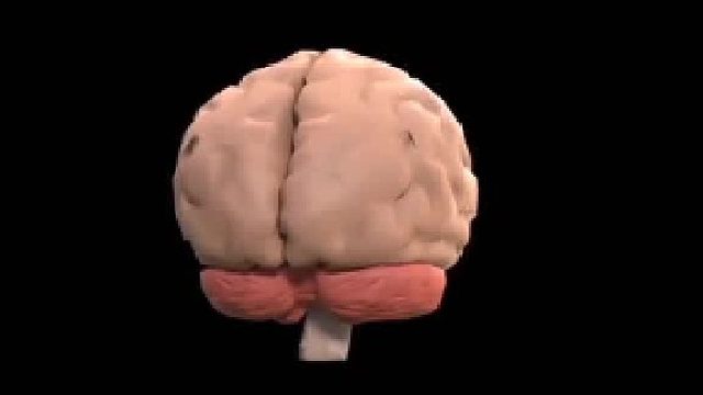 脑鸣伴随的小症状