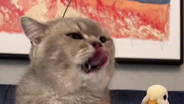 好好吃：闭嘴吧你