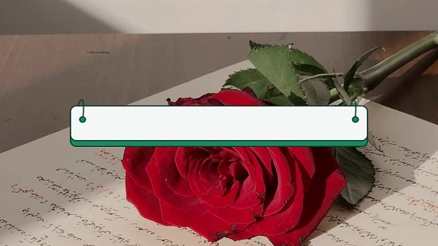 肠结核检查（10）