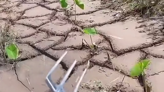 这万八插的真准