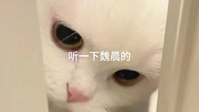 你在想什么呢