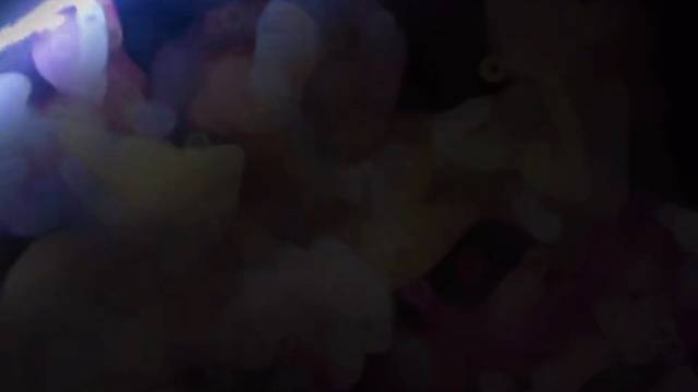 我的每一张底牌