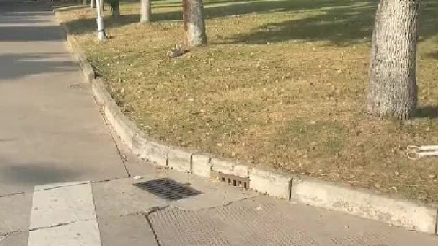 对不起，我情不自禁...