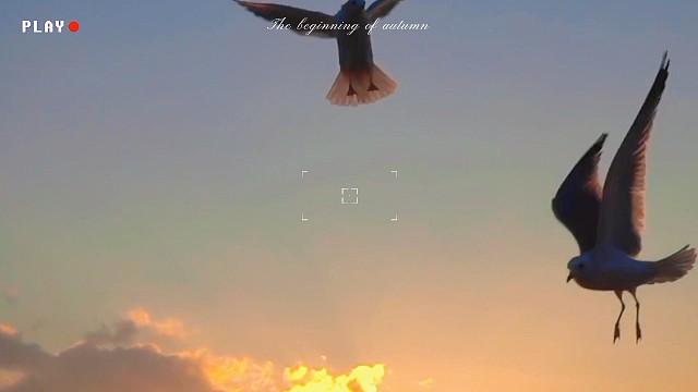 别人在说你不行的时候，你自己千万不能自已把自己否掉……