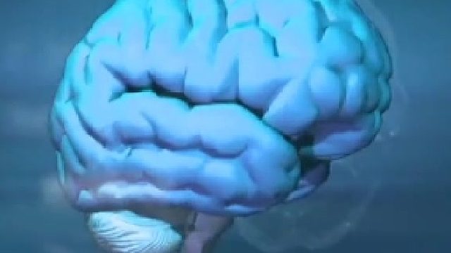 脑鸣大脑内的声音