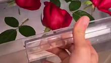 把鲜花冻起来，效果原来这么美