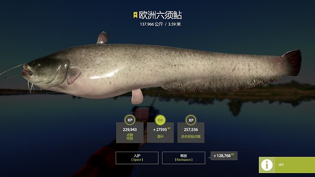 当犟犟猪遇到彩笔