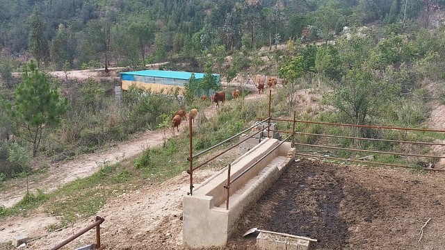 大哥们回家吃饭啦