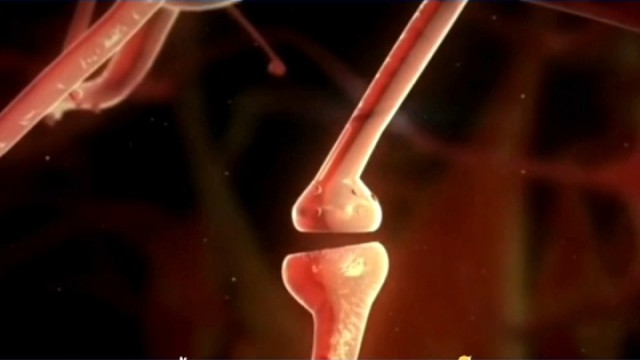 脊髓损伤治疗的顺序是什么