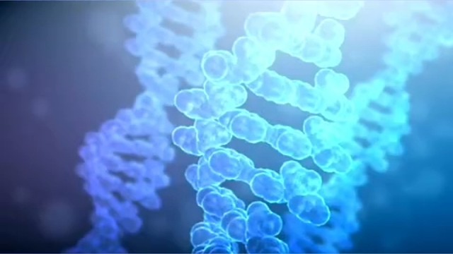 脊髓损伤治疗的顺序是什么3