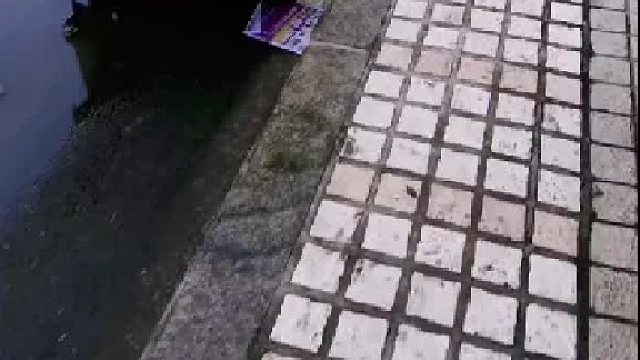 挨打边缘疯狂试探