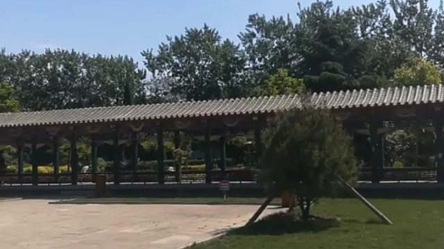 我发布了一个新视频，快来围观吧！