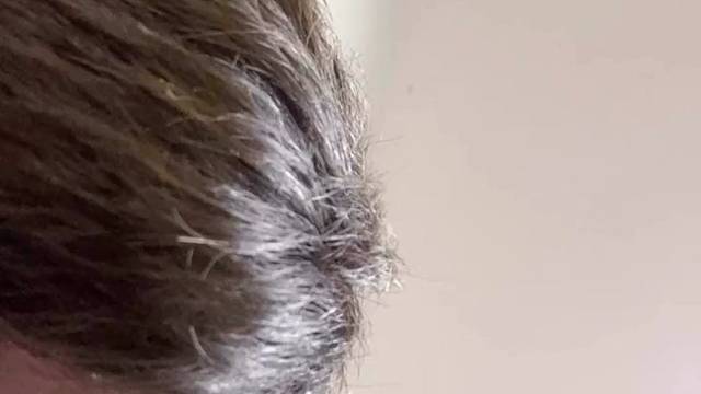 花开是什么样子