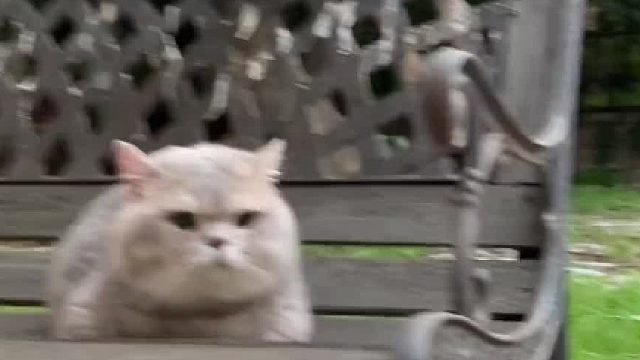 求生欲决定关系好坏