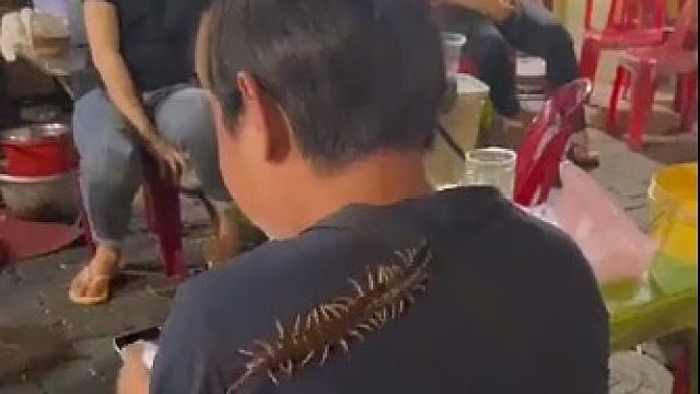 卧槽！还有把这个当宠物养的