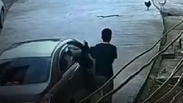 与蛇共舞，你这一看就没少去蹦迪