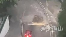 后车在想啥，前车都那么明显要掉头了