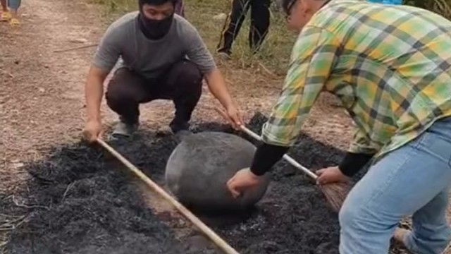 这鸡烤的连背带裤都看不清了