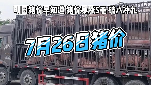 明日7月26日全国猪价早知道！明日猪价暴涨5毛生猪价格破八冲九#猪价行情#明日猪价#生猪价格