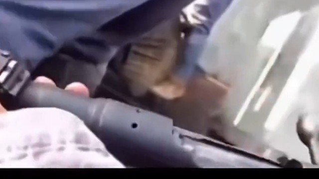 这就叫做专业。